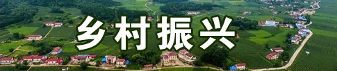鄉(xiāng)村振興